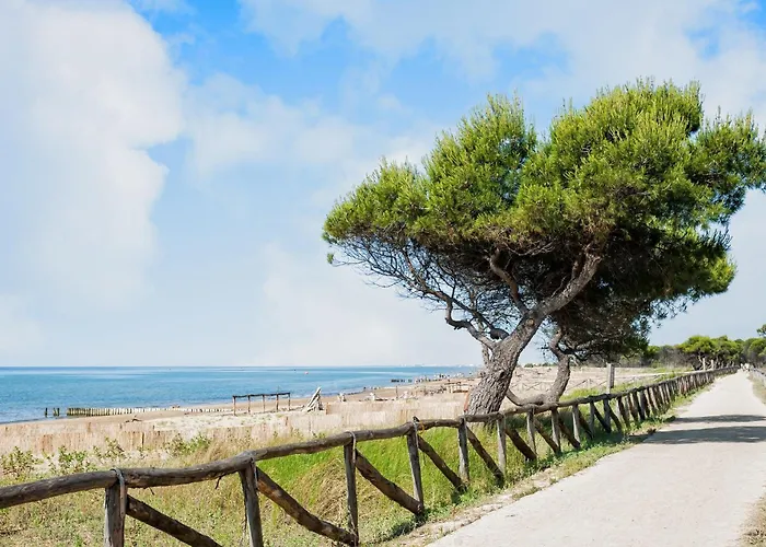 Semi-detached In A Quiet Area